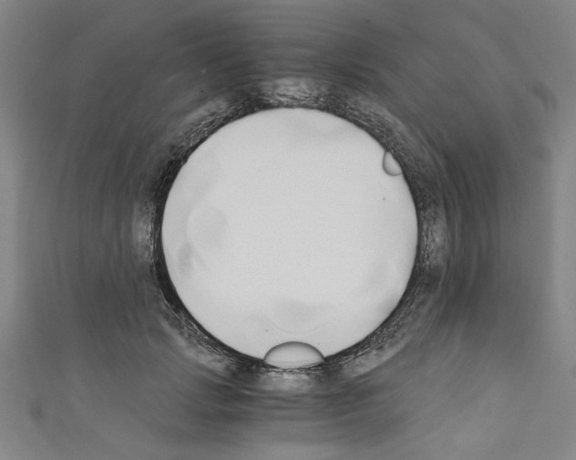 X0000110320749200907021201