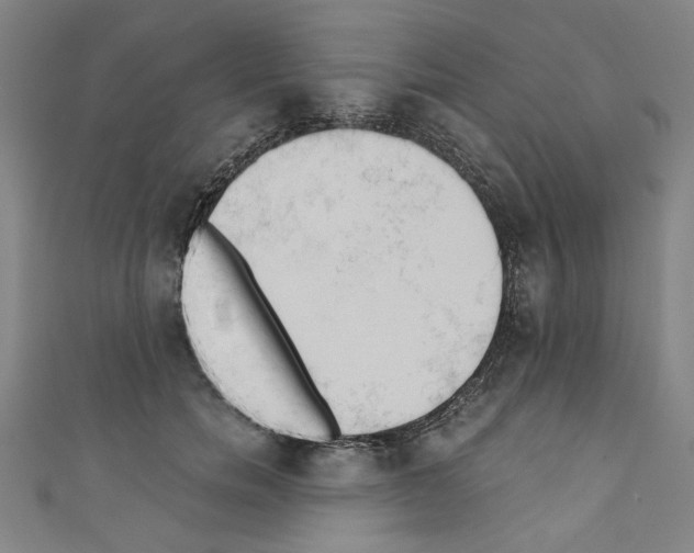 X0000110320750200907021201