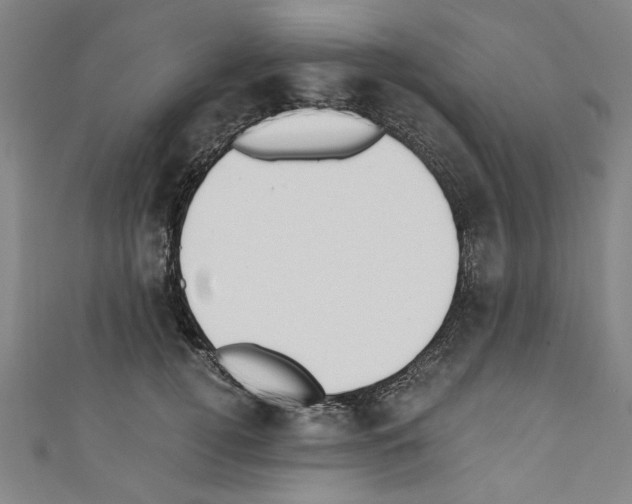 X0000110320752200907021201