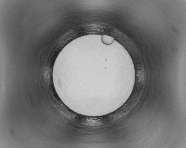 X0000110320753200907021201