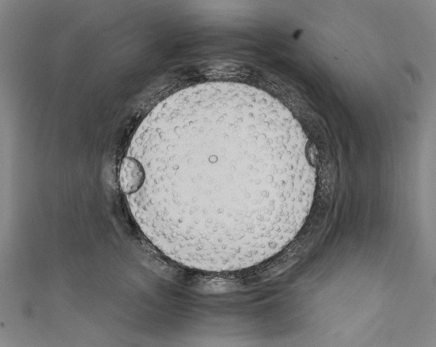 X0000110320755200907021201