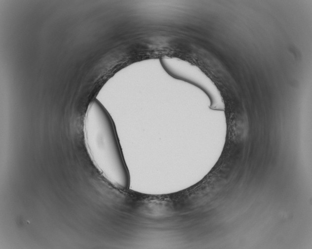 X0000110320756200907021201