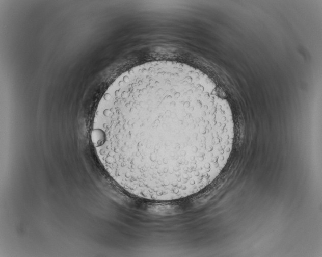 X0000110320759200907021201