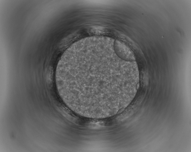 X0000110320760200907021201