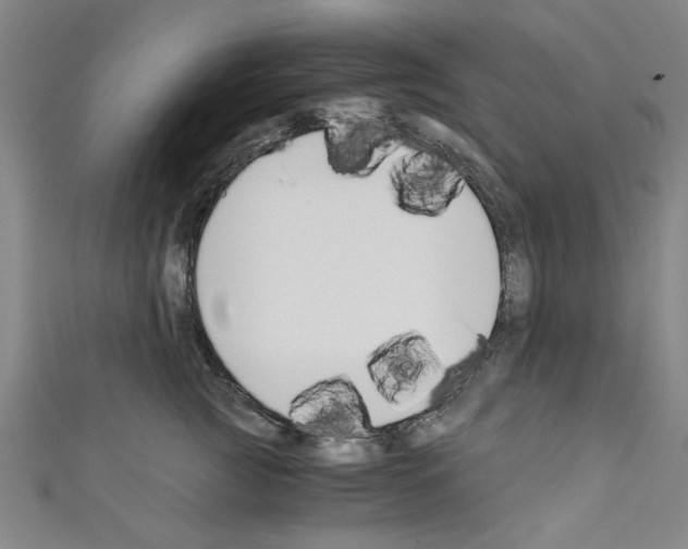 X0000110320761200907021202