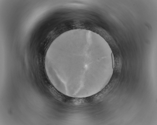 X0000110320762200907021202