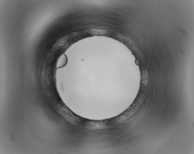 X0000110320763200907021202