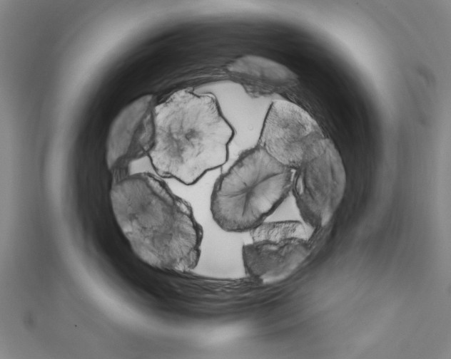 X0000110320765200907021202