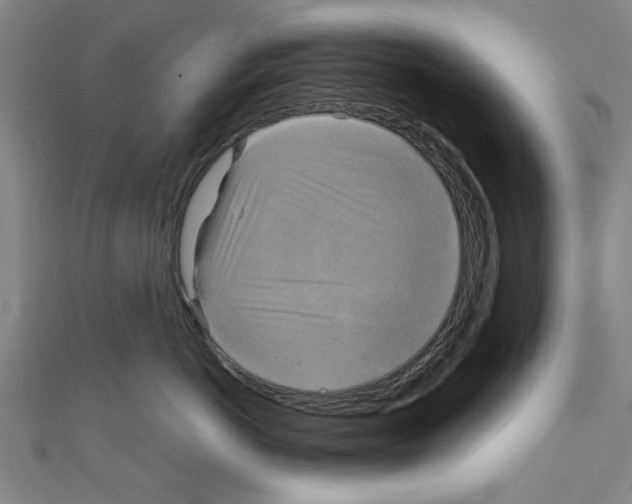 X0000110320766200907021202