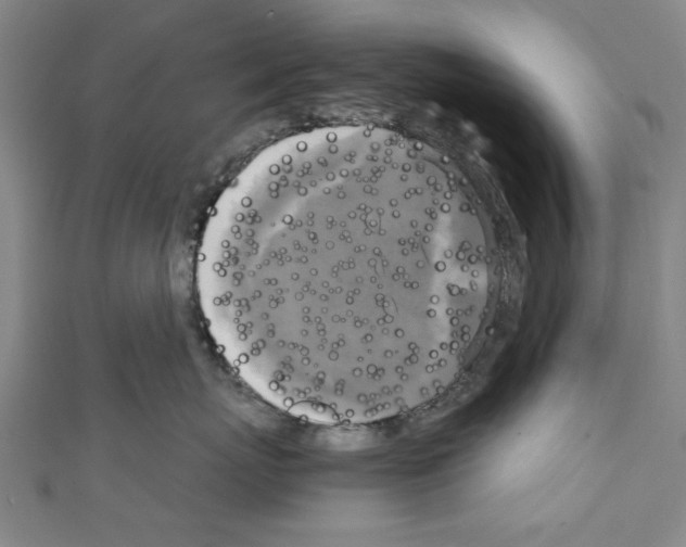 X0000110320767200907021202