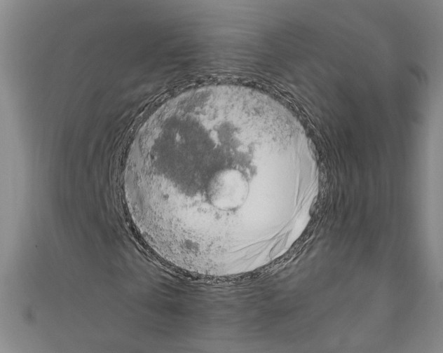 X0000110320769200907021201