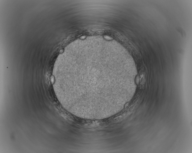 X0000110320772200907021201