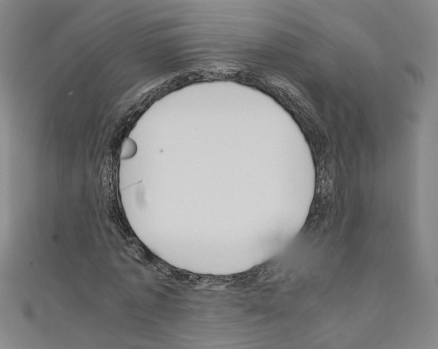 X0000110320773200907021201