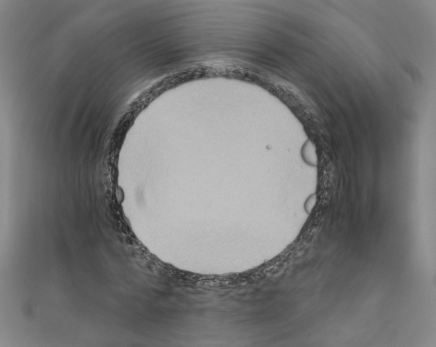 X0000110320776200907021201