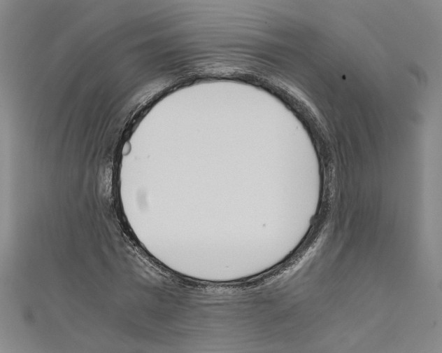 X0000110320777200907021201