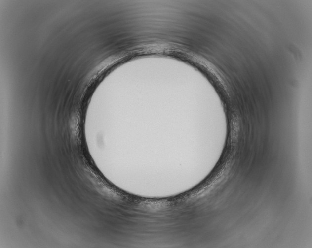 X0000110320778200907021201