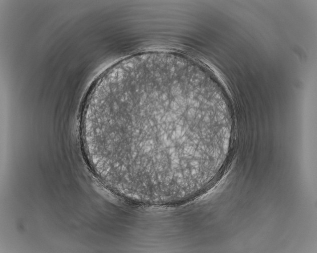 X0000110320779200907021201