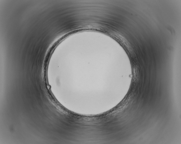 X0000110320780200907021201