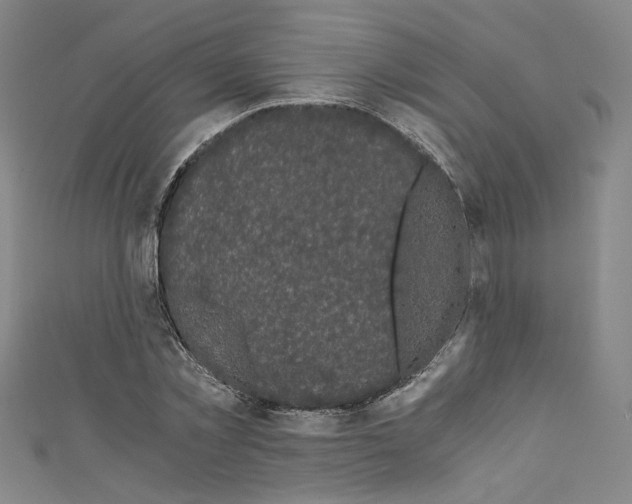 X0000110320781200907021201