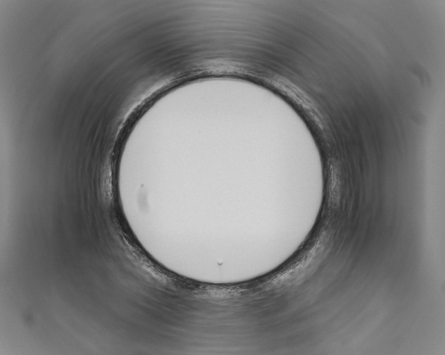 X0000110320782200907021201