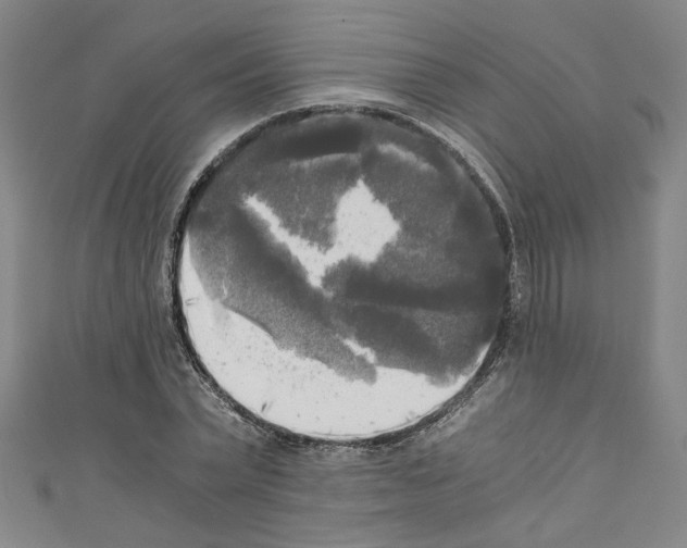 X0000110320783200907021201