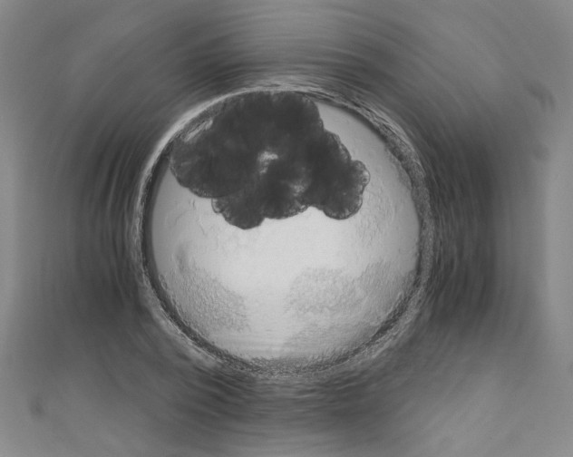 X0000110320784200907021201