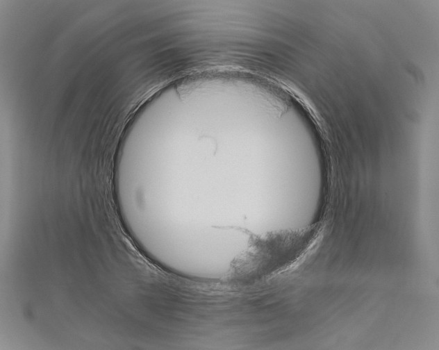 X0000110320785200907021201