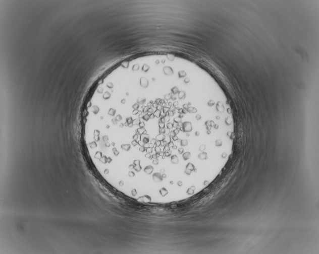 X0000110320787200907021201