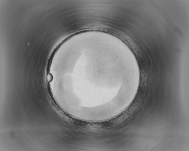 X0000110320788200907021201