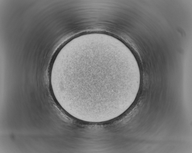 X0000110320789200907021201