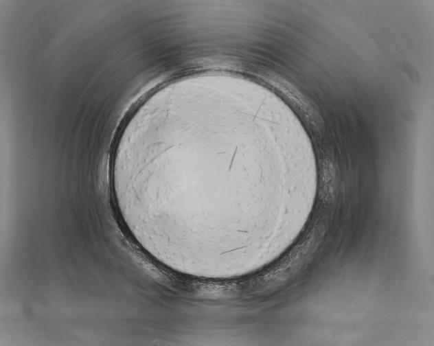 X0000110320790200907021200