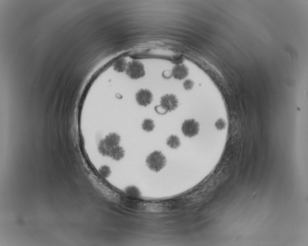 X0000110320792200907021200