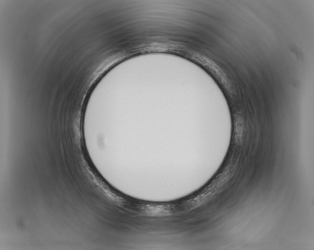 X0000110320794200907021200