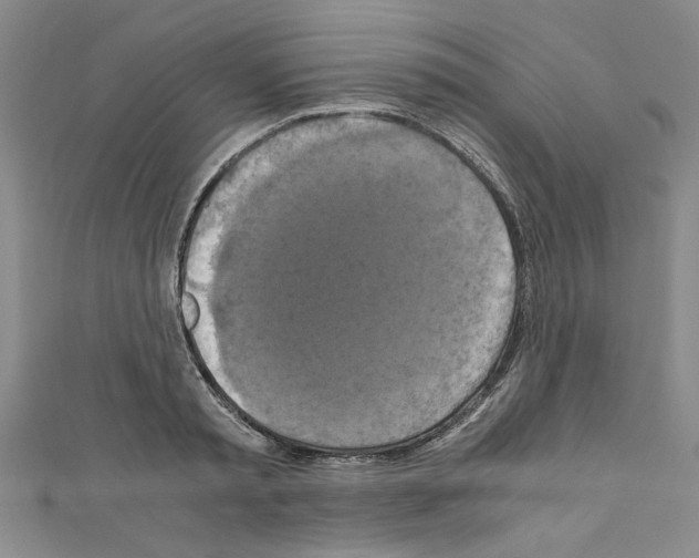 X0000110320797200907021200