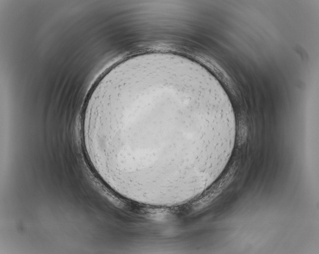 X0000110320798200907021200