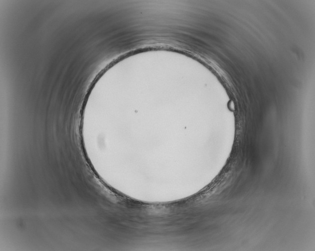 X0000110320799200907021200