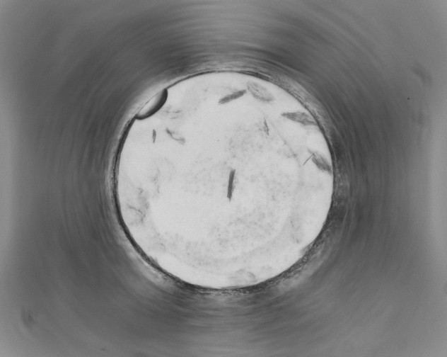 X0000110320803200907021200