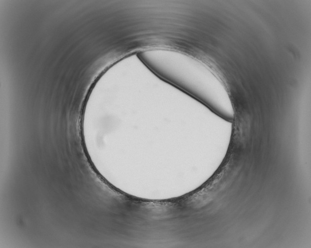 X0000110320805200907021200