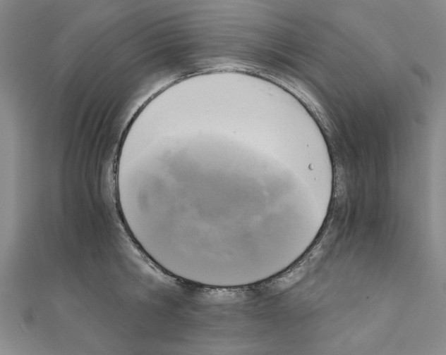 X0000110320806200907021200