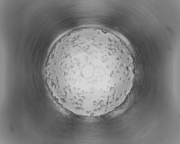 X0000110320807200907021200