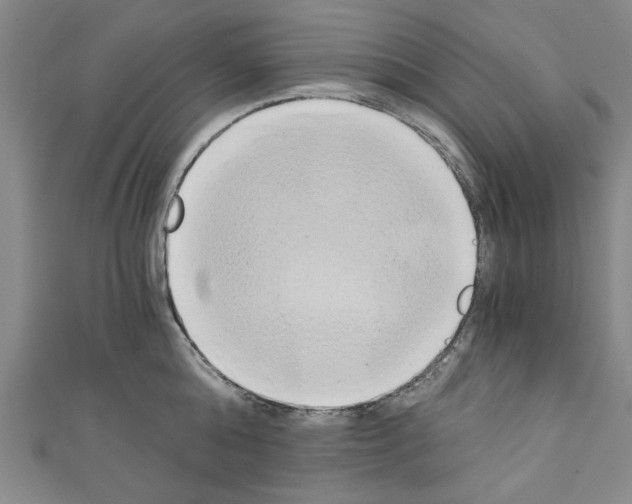 X0000110320808200907021200