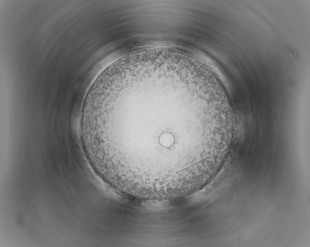 X0000110320810200907021200