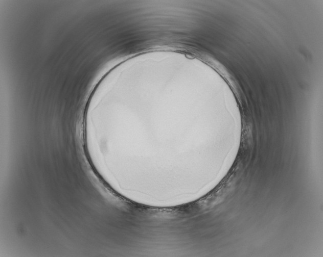 X0000110320811200907021200