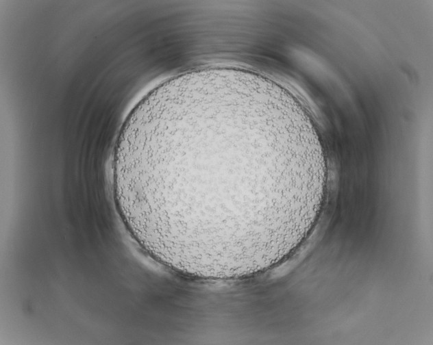 X0000110320814200907021200