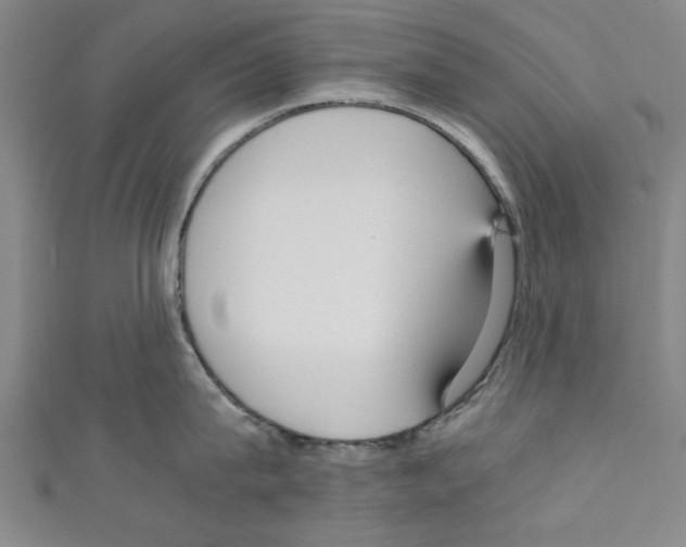 X0000110320815200907021200