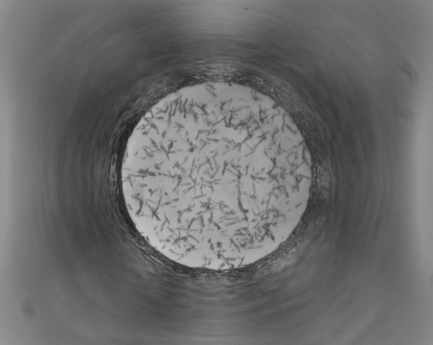 X0000110320818200907021159