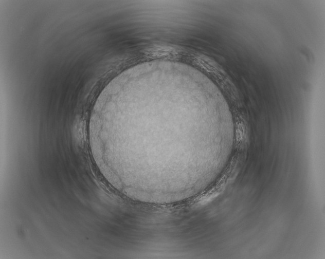 X0000110320820200907021159