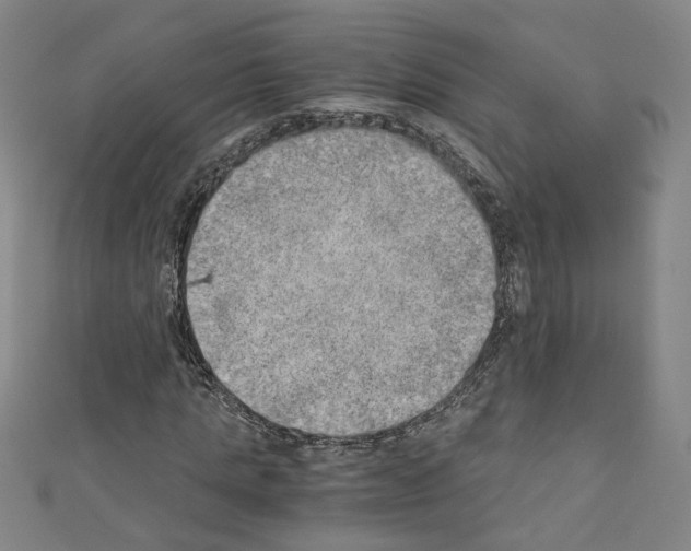 X0000110320821200907021159