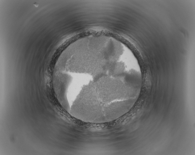 X0000110320823200907021159