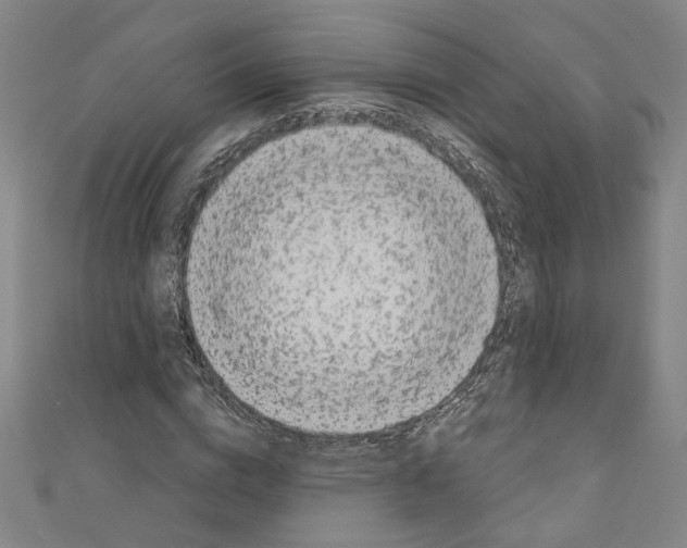 X0000110320824200907021159